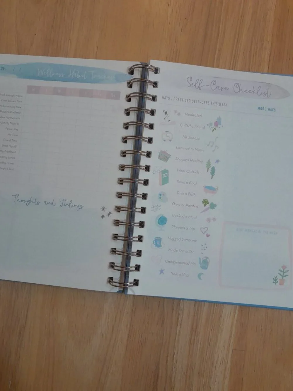 Self Care Journal by Clementine Paper Inc
